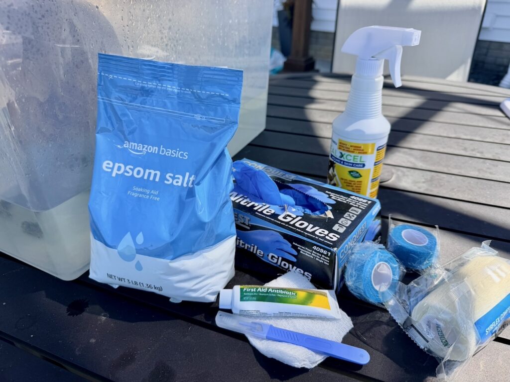 a photo of supplies needed to treat bumblefoot in chickens